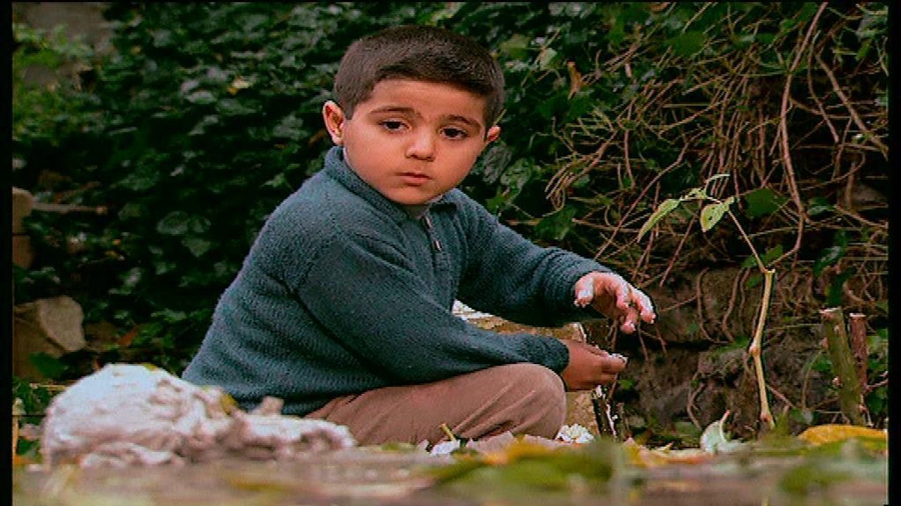 Kalp Gözü - Ekmek ve Peynir