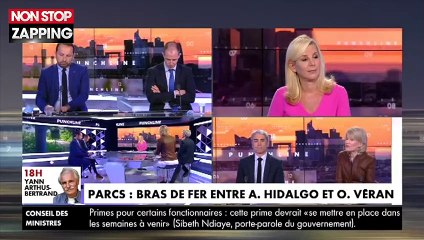 Laurence Ferrari pousse un coup de gueule contre la fermeture des parcs et jardins à Paris (vidéo)