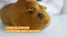 Esporsi al coronavirus per aiutare la scienza? Lo puoi fare!