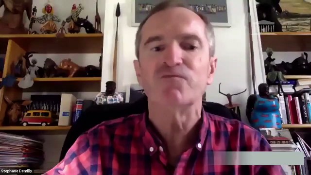 Commission des affaires européennes : Audition commune avec la Commission du développement durable de M. Pascal Canfin, député européen, pdt de la Cion de l'environnement, de la santé publique et de la sécurité alimentaire - Mercredi 13 mai 2020