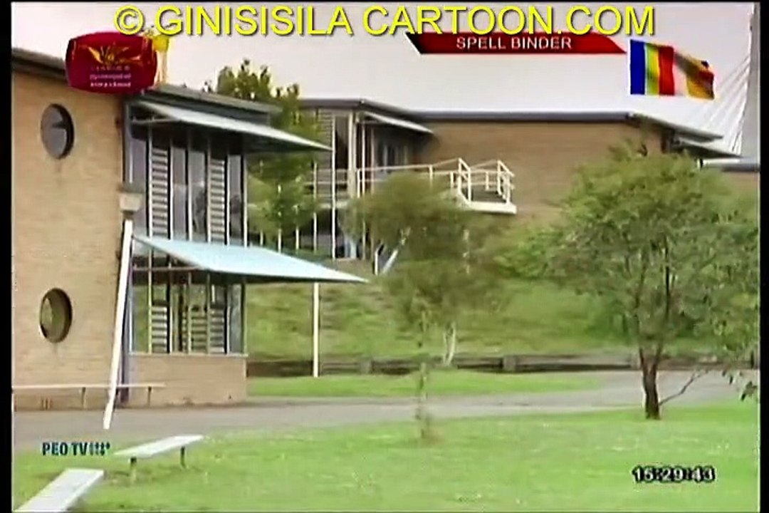 MAYA BANDAHNA 24