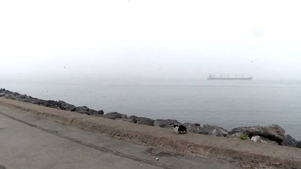 İstanbul'lular yeni güne sisle uyandı