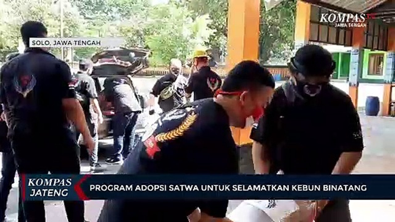 Program Adopsi Satwa Untuk Selamatkan Kebun Binatang