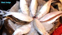 ইলিশ কিনুন সস্তায়, MIRPUR-6 FISH MARKET, DHAKA