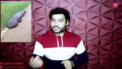 दुनिया की सबसे महंगी जूती - List of Most Expensive Shoes Ever
