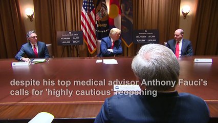 US top doctor Fauci's call for cautious reopening 'not acceptable': Trump