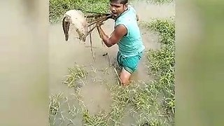 Village fishing in Bangladesh