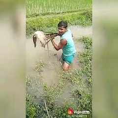Village fishing in Bangladesh