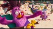 THE ANGRY BIRDS MOVIE 2 - 11 Minutes Trailers & Clips (2019)