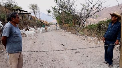 Mexico announces 'new normality' in plan to reopen economy