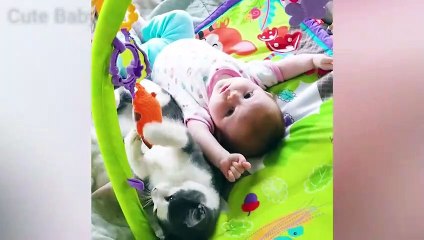 Funny Babies And Cats - Give Me Love video