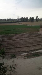 Corona virus infected area