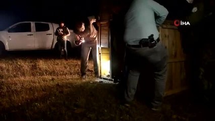 Alageyikler Dilek Yarımadasını vatan edindi