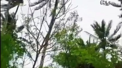 Powerful Winds Hit the Philippines as Typhoon Makes Landfall