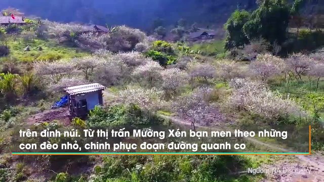 [Tin video,YAN Travel,xứ Nghệ,cảnh đẹp tới xao xuyến cõi lòng] 71809