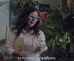 Comercio local Canarias