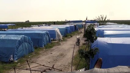 Çukurova'da başlayan "sarı sıcak" en çok tarım işçilerini zorluyor