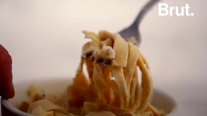 24 hours on a research station in Antarctica