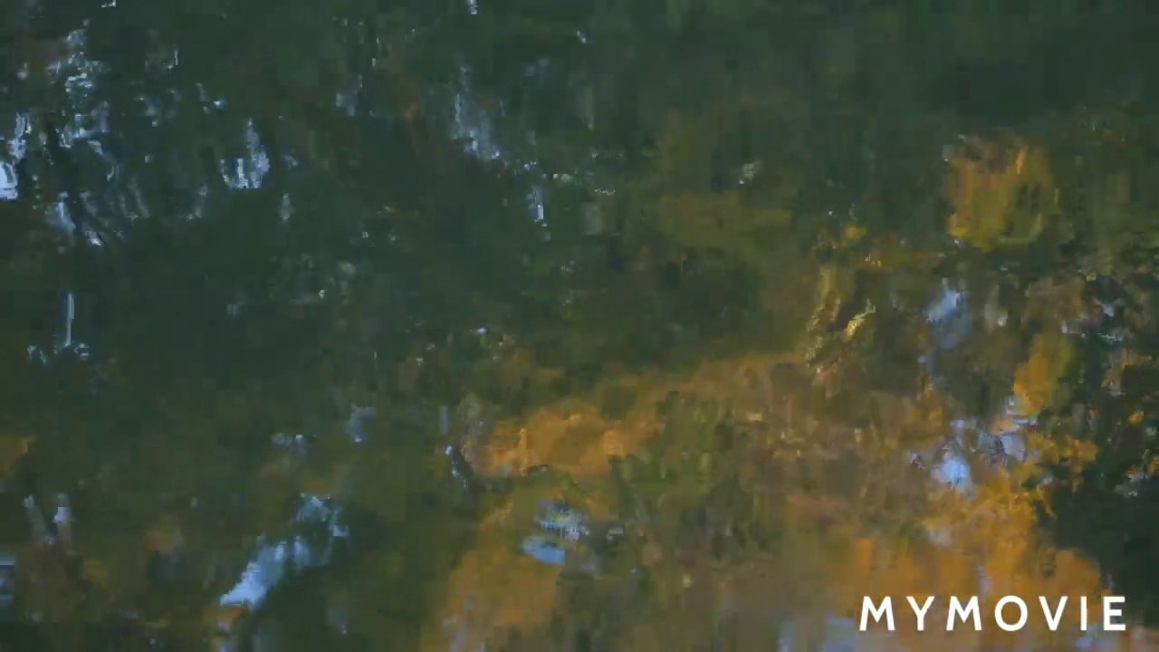 Nechural_video(720p)