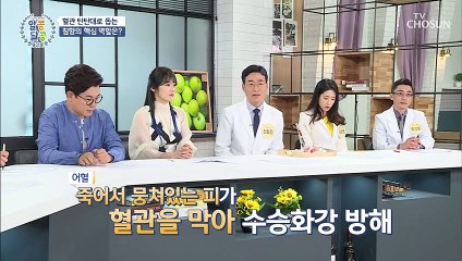 혈관 막는 ☞죽은 피☜ 혈액 순환 방해✖