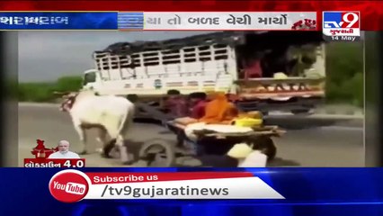 Indore- Labourer yokes himself to cart, pulls family home- TV9News