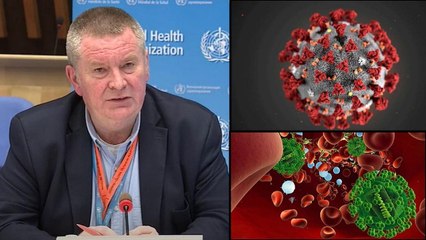 Download Video: Coronavirus Could Become like HIV And May Never Go Away - WHO