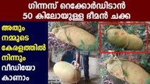 Kerala family finds massive 50-kg jackfruit in backyard | Oneindia Malayalam