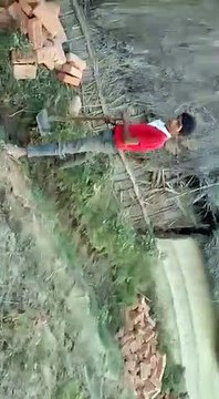गोण्डा: ग्राम प्रधान द्वारा लगवाये जा रहे खड़ंजा में किया जा रहा पीले ईंट का प्रयोग