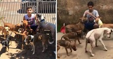 Au Brésil, cet adolescent de 17 ans ouvre son propre refuge et recueille 22 chiens et 4 chats