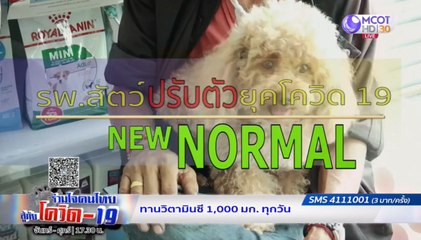 New Normal รพ.สัตว์ปรับตัวยุคโควิด-19