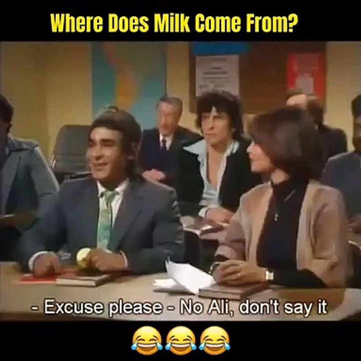funny clip