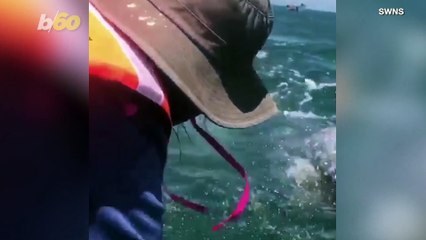 An Inquisitive Whale Calf Swam up to a Boat to Say 'Hello'