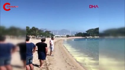 Antalya'da şaşırtan görüntüler!  Bir anda ortaya çıktı, ilk defa görüntülendi