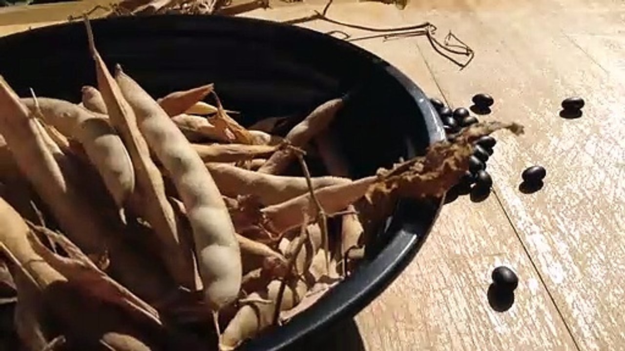 [Bestie,nguyên tắc vàng,ăn nhiều mà không béo,thực phẩm,không béo] 48296