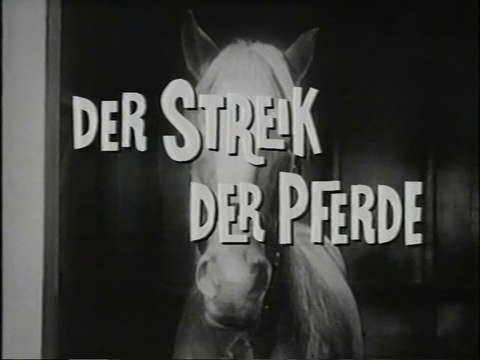 Mr. Ed - 084. Der Streik der Pferde