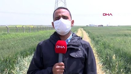 Tekirdağ'a tarla yollarından gelmek isteyenler jandarmaya yakalandı