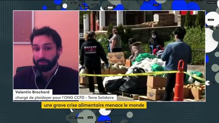 Crise alimentaire : CCFD-Terre solidaire appelle à "reterritorialiser les productions"
