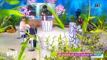 En pleine émission en direct avec Cyril Hanouna sur C8, Valérie Benaïm victime de deux malaises à quelques minutes d’intervalle - VIDEO