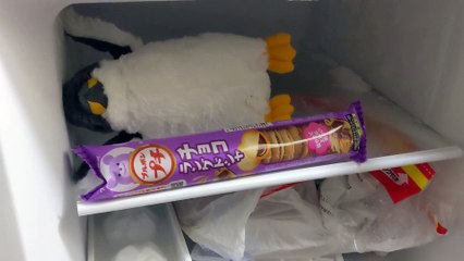 【全仏が泣いた】ブルボン！プチ チョコ ラング・ド・シャ