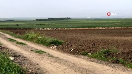 İstanbul'dan tarlaları kullanarak Tekirdağ'a geçmek isteyenler jandarma ekiplerine yakalanıyor