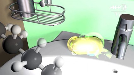 Videografik: Seife - wie sie gegen Keime wirkt