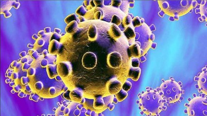 Corona may never go, says WHO