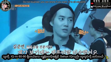 EXO WE ARE ONE! EXO have same brain-MM SUB