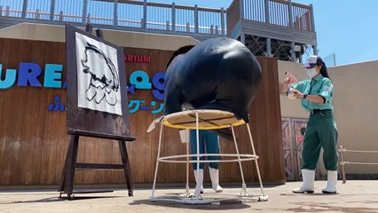 Sea lion draws mythical Japanese monster believed to ward off plagues