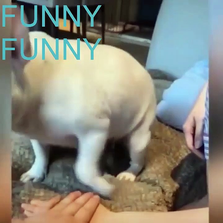 FUNNY # 3