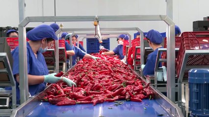 Andalucía busca recuperar el dinamismo del sector agroalimentario almeriense