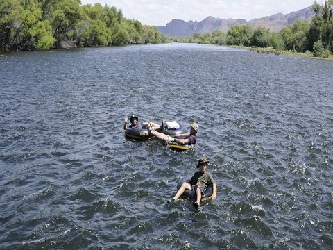 SHH! 6 secrets about Salt River Wild Horses - ABC15 Digital