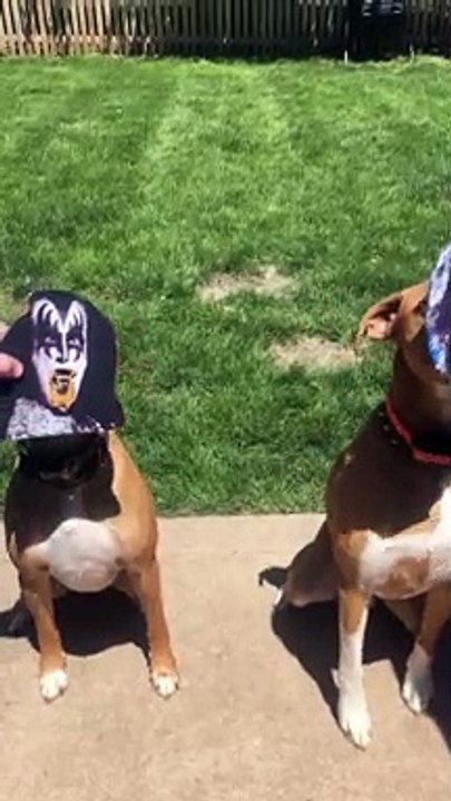Classic Rock Stars are Crazy for Peanut Butter