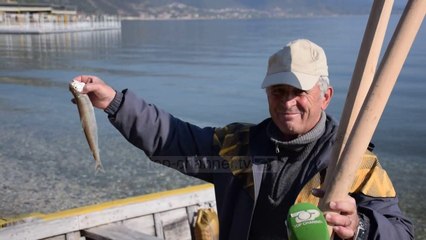“Plaku dhe liqeni” në Pogradec/ Peshkatari që doli pas karantinës dhe u kthye me vetëm 1 peshk
