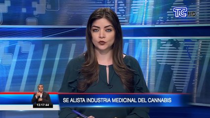 Cannabis: El oro verde que podría salvar la economía